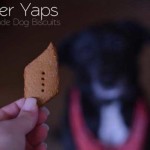 How to make Homemade Dog Biscuits for your pups! Get this easy recipe from Cosmopolitan Cornbread