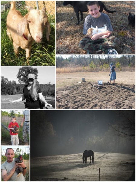 Homesteading Conferences and Other Great Ways to Learn New (Old) Skills ...