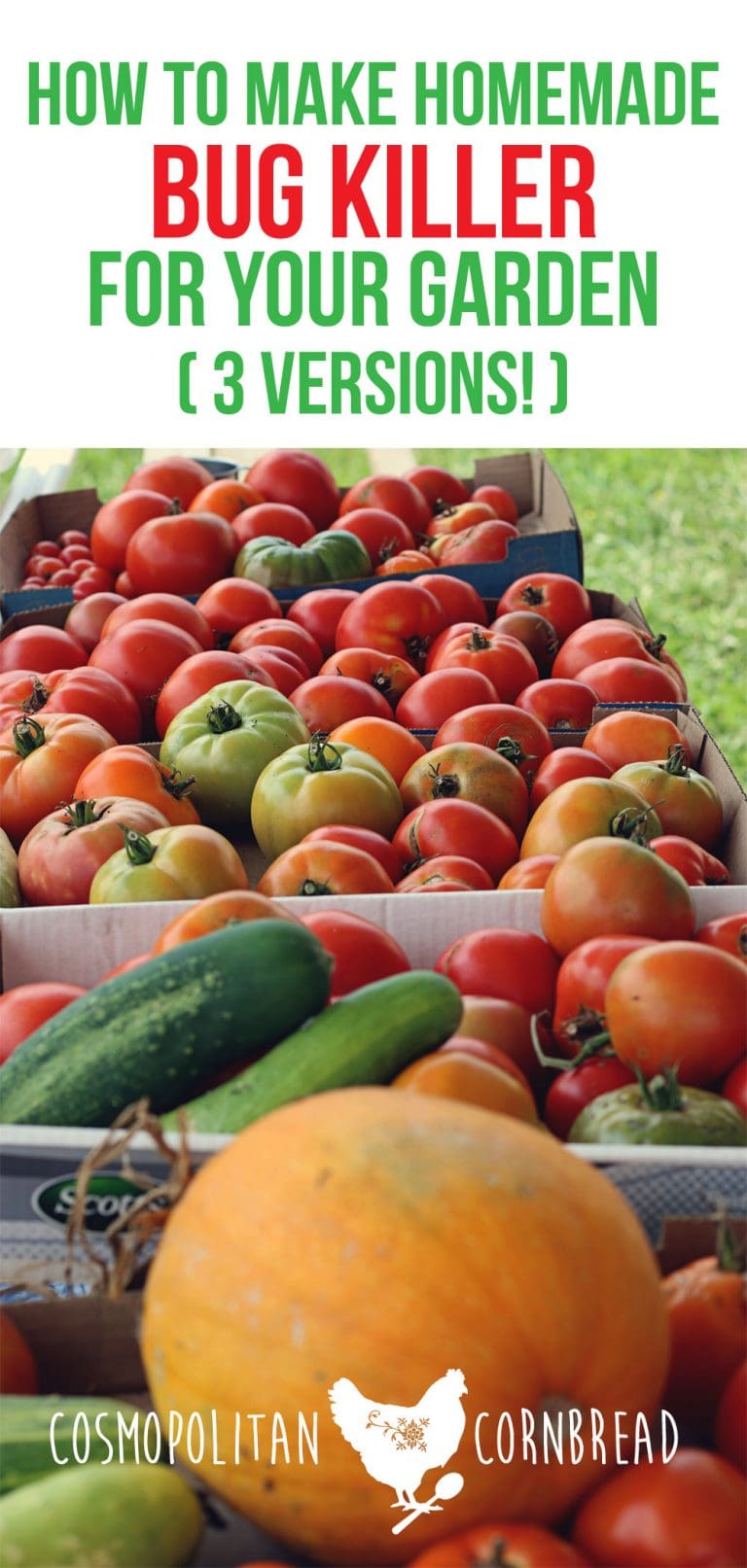 How to Make Homemade Bug Killer for the Garden (3 Versions