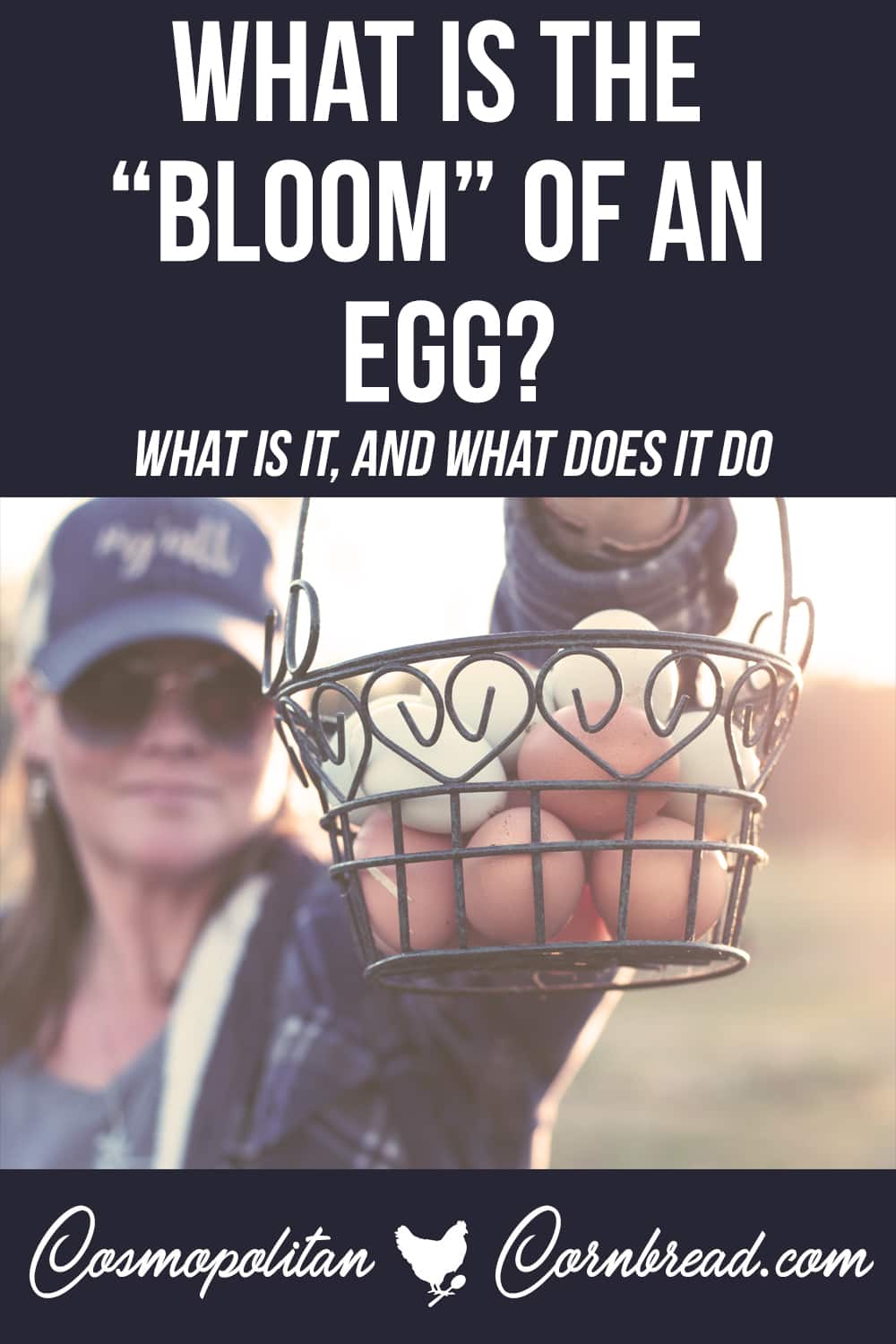 What is the Bloom of an Egg? Cosmopolitan Cornbread