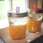 Fermenting foods is a great (and healthy) way to use some of the garden bounty. Learn how to do a simple pepper fermentation.