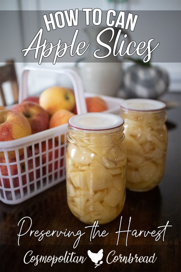 How to Can Apple Slices Food Preservation (With Cooking Video