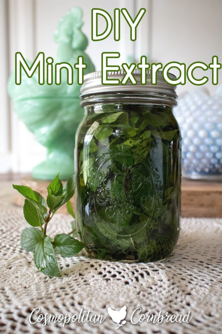 DIY Mint Extract Recipe Cosmopolitan Cornbread