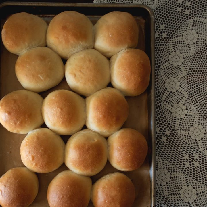 The Best Homemade Dinner Rolls from Scratch (with Recipe Video