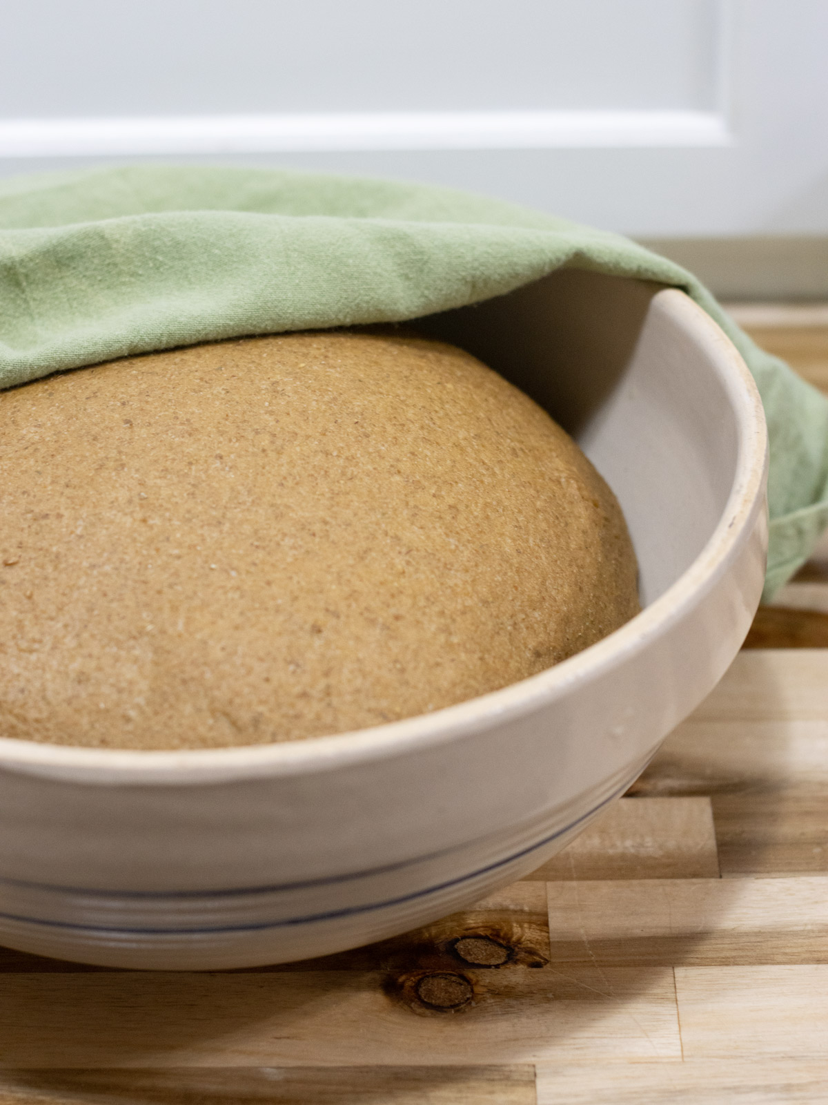 pumpernickel bread dough in a mixing bowl